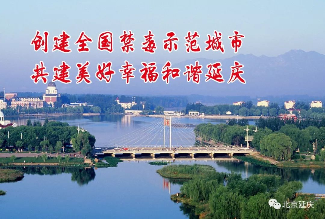 延庆中医院专家门诊表,延庆医院有好的内科专家吗