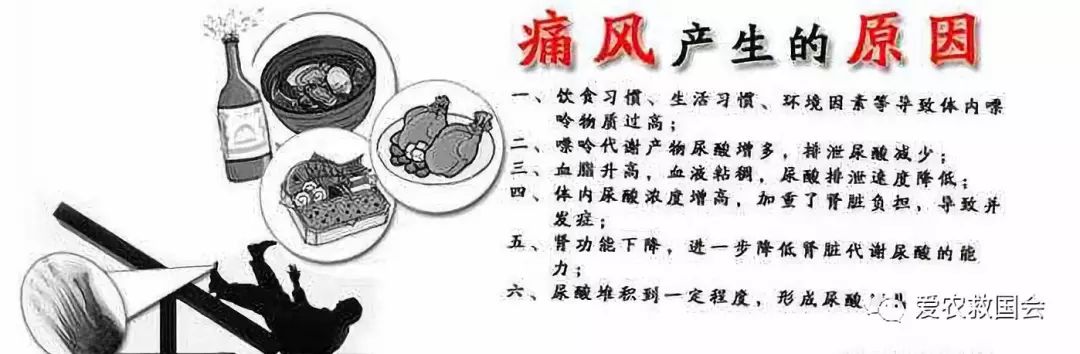 金芷神痛风茶,痛风能喝的茶