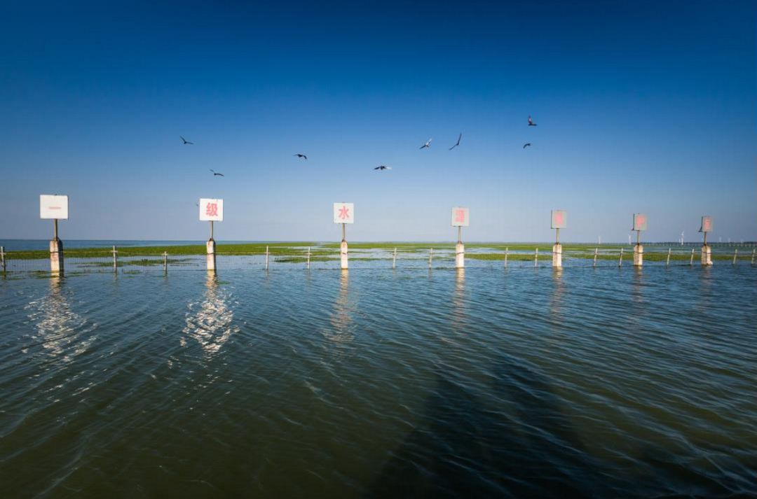 大闸蟹各部位千万别吃图解,大闸蟹这四个部位不建议吃