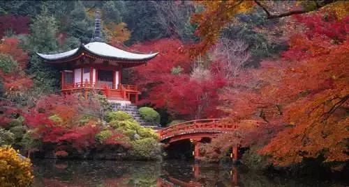 河南看红叶最好的地方,河南红叶最佳观赏时间表