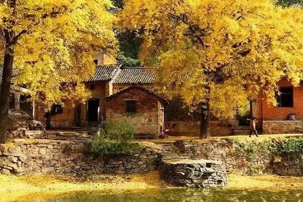 河南秋天最美红叶景区,太美了河南景观
