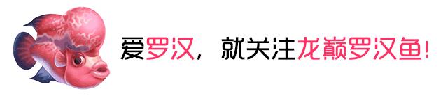 退沙和烧尾有什么区别,简单区别柴油