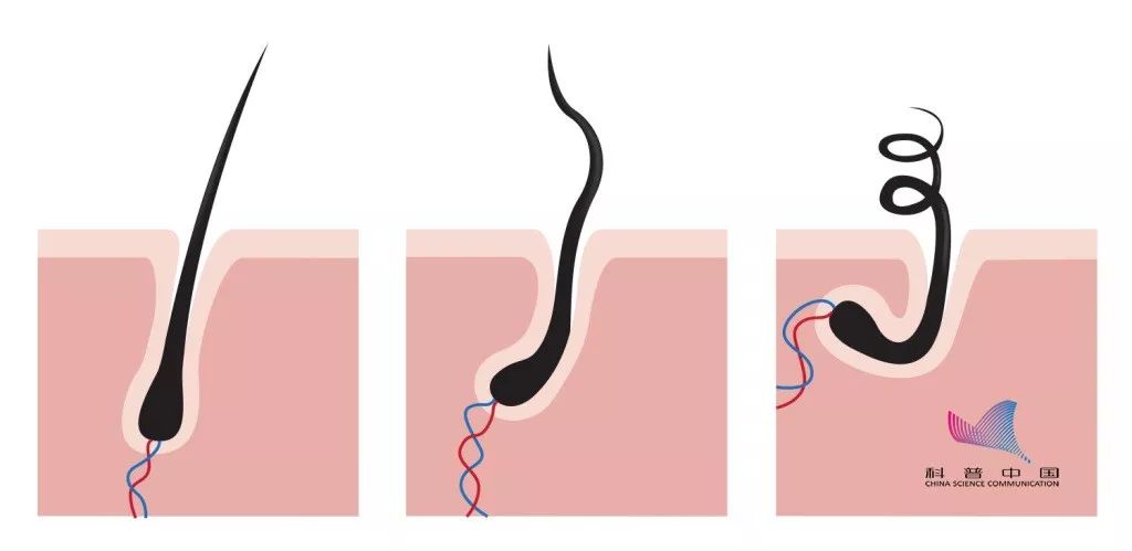 「不慌」就是……看完默默点了收藏和分享……