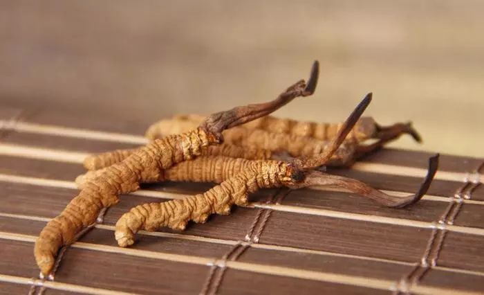 冬虫夏草保健品除名,冬虫夏草被踢出药典