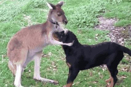 洗发水推荐防脱发超市,超市推荐洗发水防止脱发