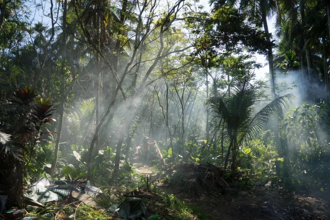 海南好喝的咖啡推荐,海南最正宗的咖啡