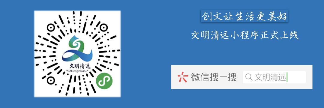 2023年清城区初中学区划分,2024年清城区东城街道学区分布图
