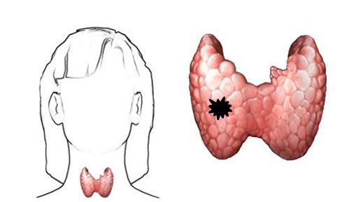 甲府事件真假,甲府事件可信度