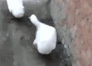 为什么键盘上的字母顺序不是abcd,键盘上的字母是按什么规律排列的