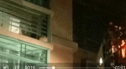 清溪找马蜂,东莞清溪马蜂