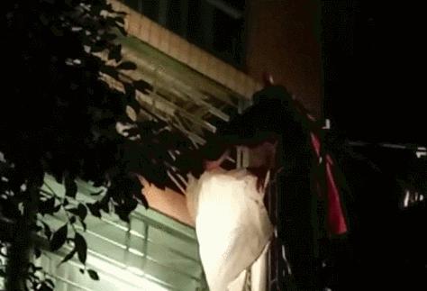 清溪找马蜂,东莞清溪马蜂