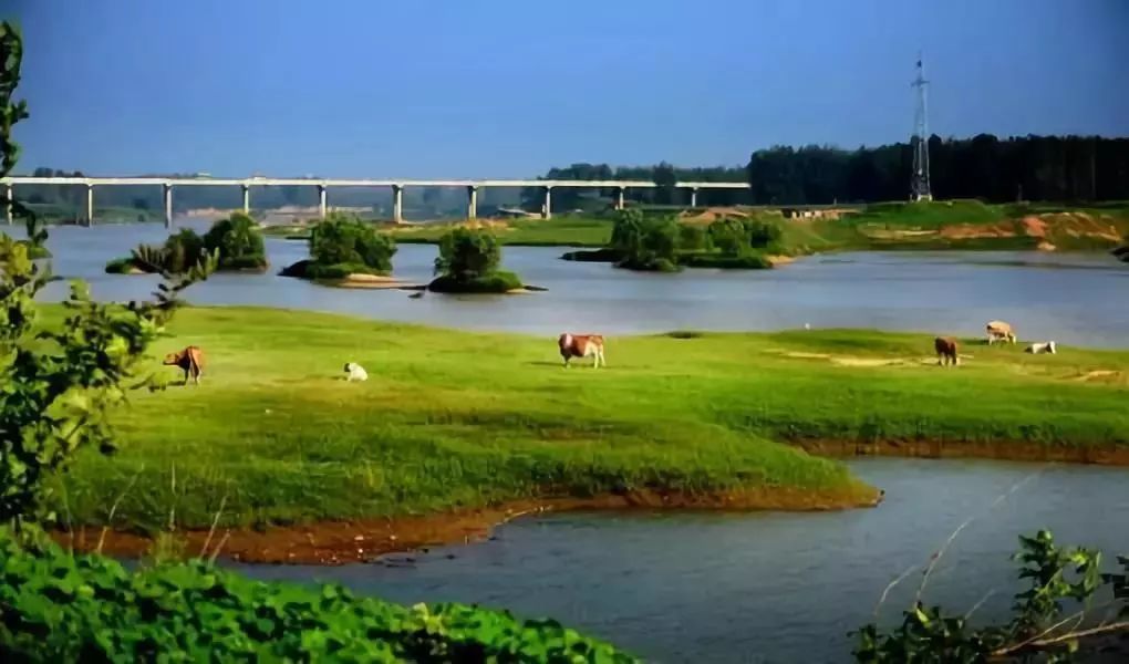 秋天的味道,秋天的味道朗读版