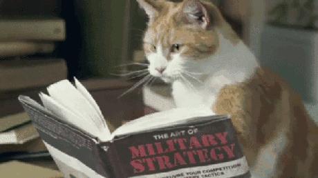 梁小静东京奥运会夺冠视频,梁小静在东京奥运会的成绩