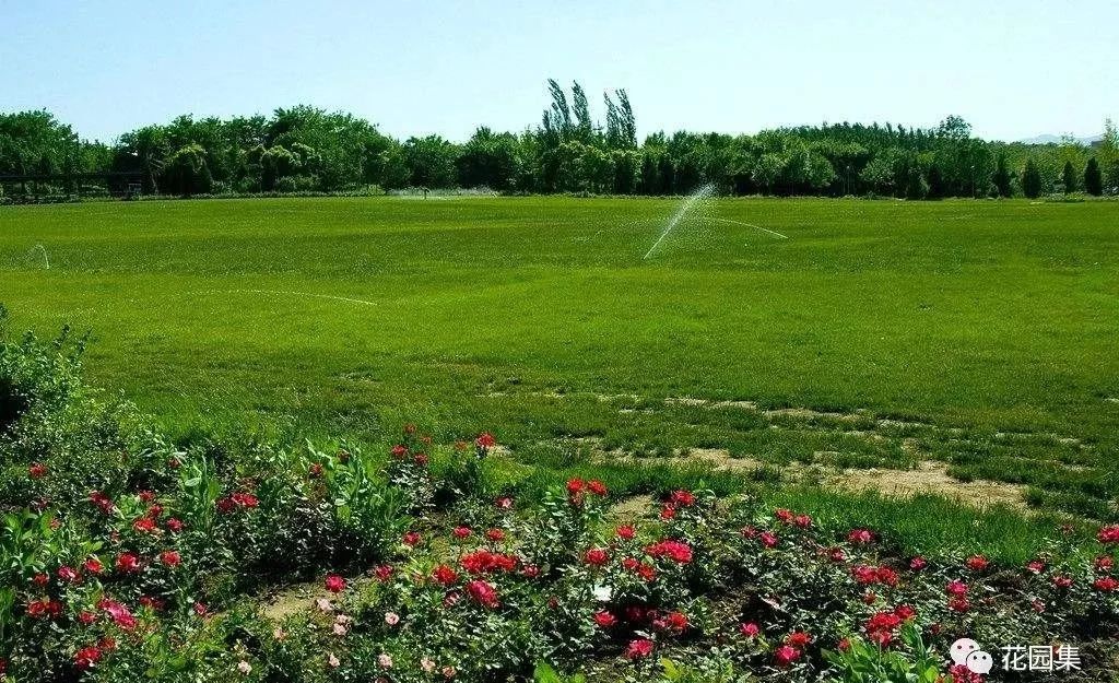 苏州人造草坪运动场养护服务,公园草坪怎么养护效果最好