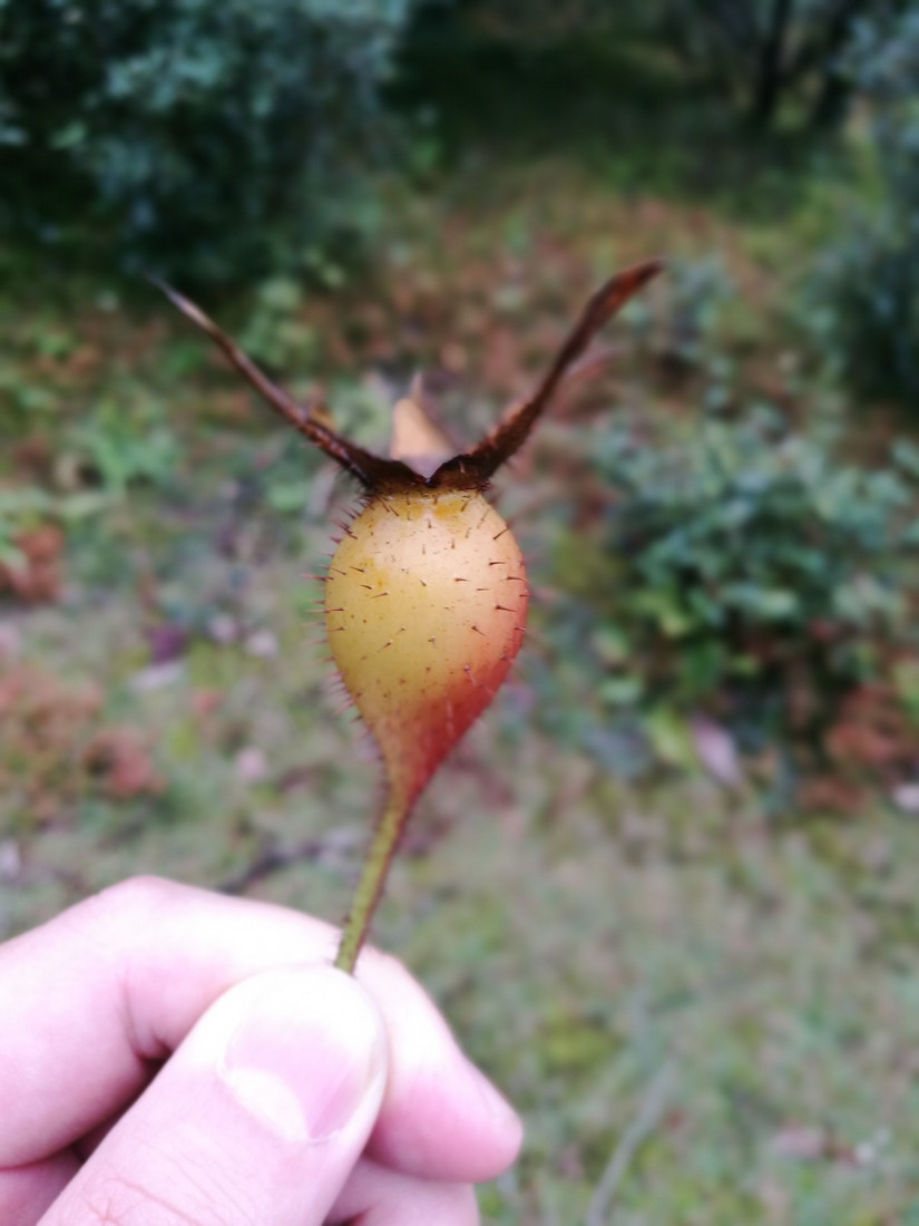 十大非著名山峰哪座山好玩,中国十大非著名山峰韭菜岭