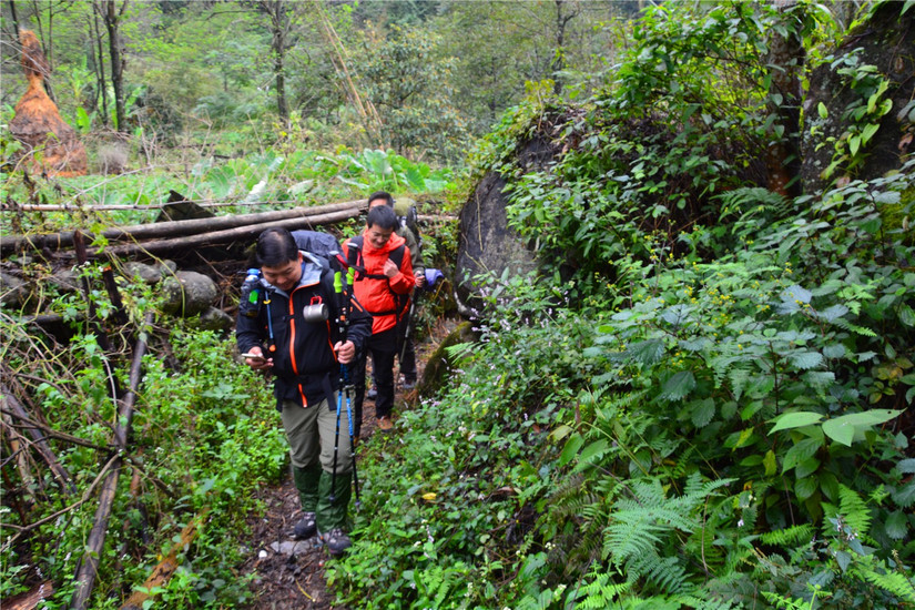 十大非著名山峰哪座山好玩,中国十大非著名山峰韭菜岭