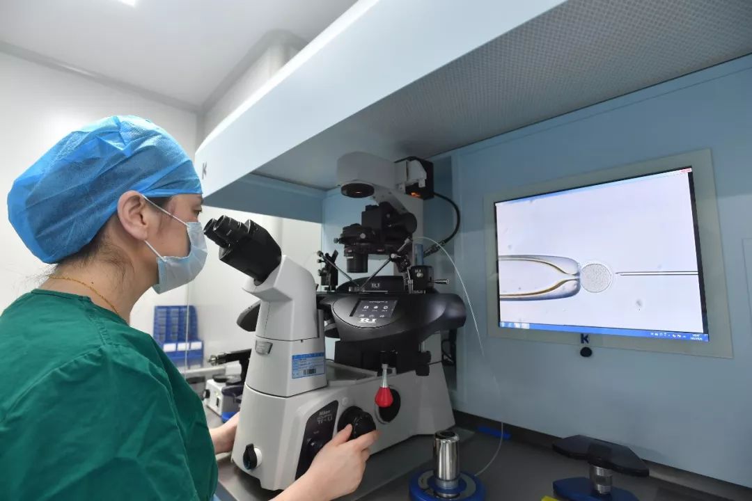 29岁女子怀孕8次全部流产,女子备孕体检7次流产记录