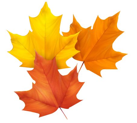 慧游旅行,京郊休闲度假游玩攻略