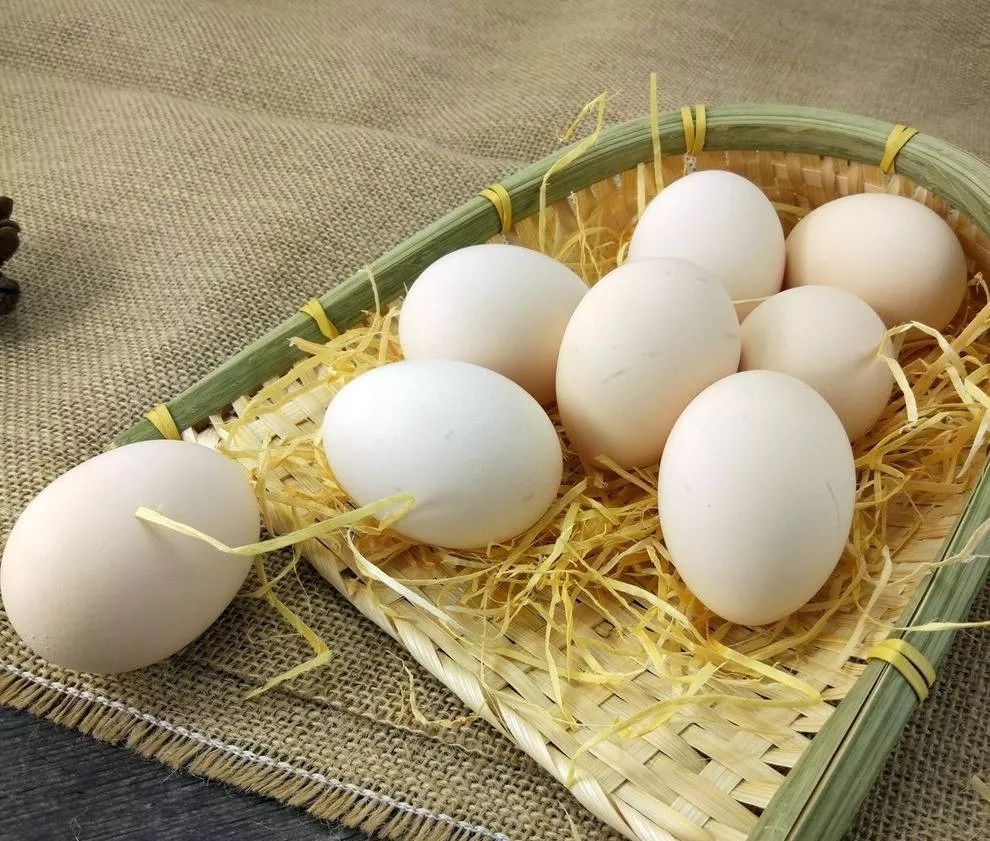 酵素防癌抗癌吗,酵素真的可以抗癌吗