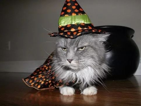 这个万圣节,你会是孩子眼中的最燃妈妈么?