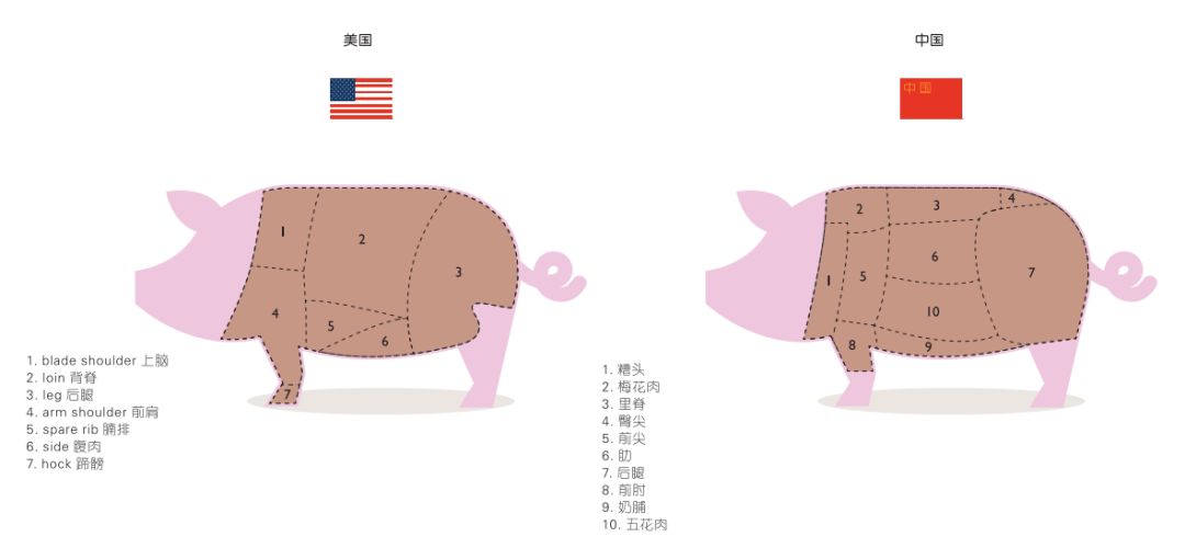 猪猪日常是怎样的,猪猪是怎么制定学习计划
