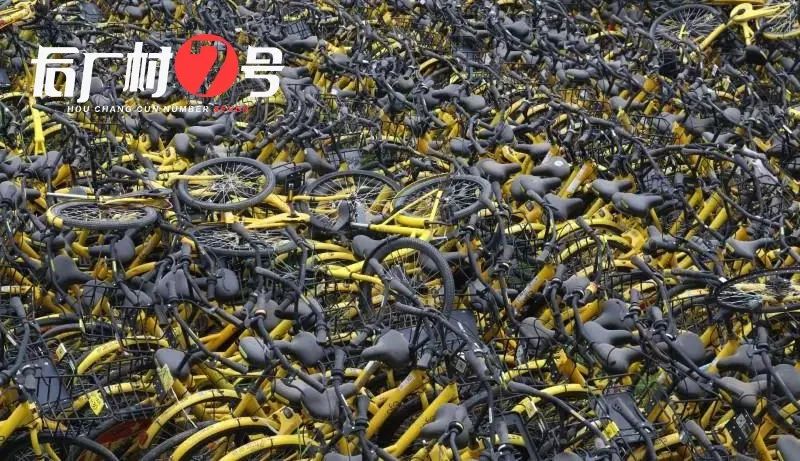 戴威为什么能当老大,戴威为什么那么厉害