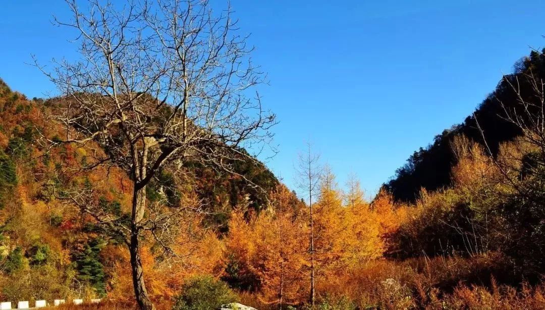 西安蓝田风景好的地方,蓝田秦岭风景最美的地方