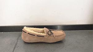 澳洲羊毛豆豆鞋搭配,秋冬加绒豆豆鞋什么颜色百搭