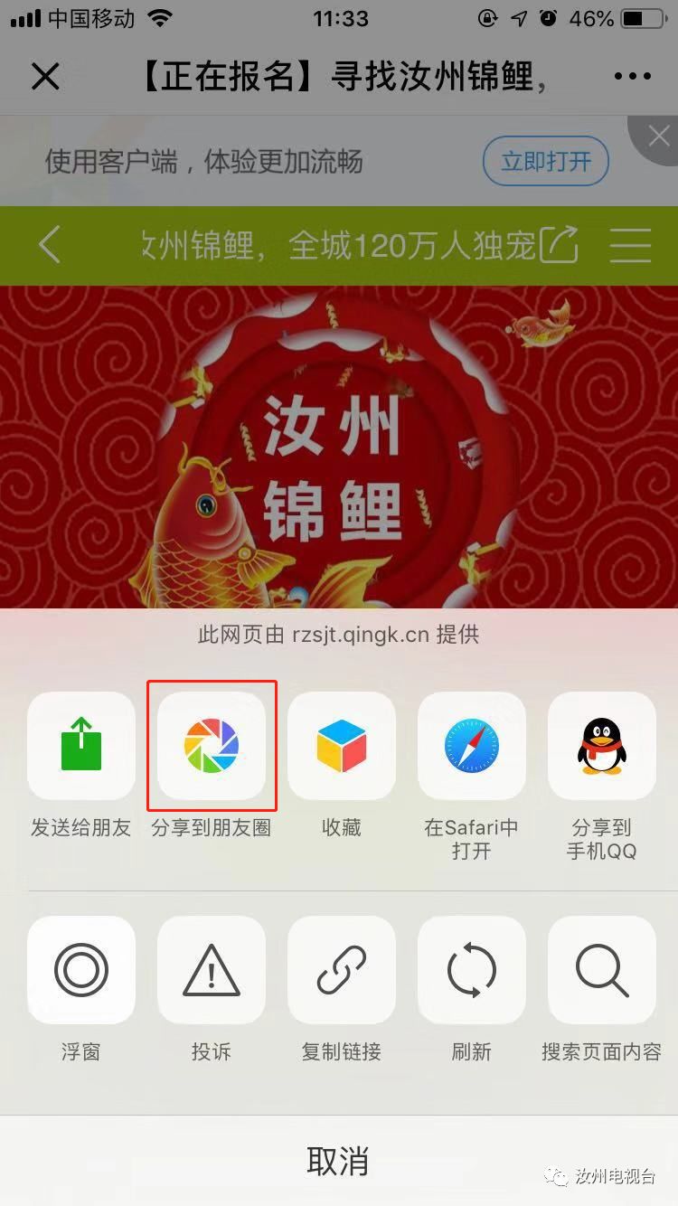 实不相瞒，“汝州小锦鲤”部分已经诞生，大家快来沾喜气呀~