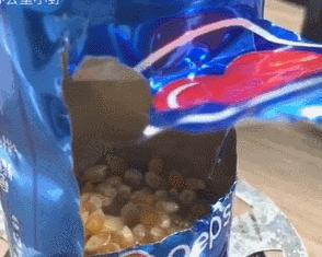 饮水机煮火锅视频,饮水机煮火锅能煮熟吗