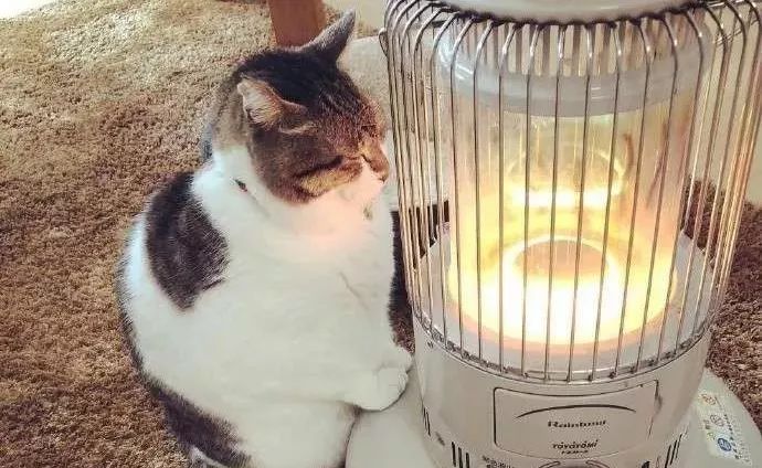 饮水机煮火锅教程,用饮水机煮火锅教程