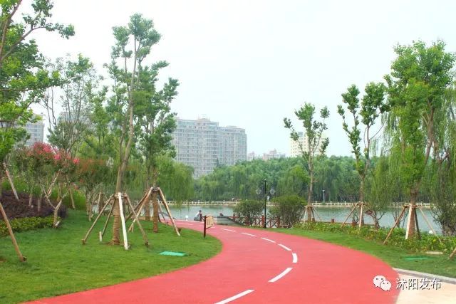 宿迁沭阳：这份“绿色福利”你值得拥有~