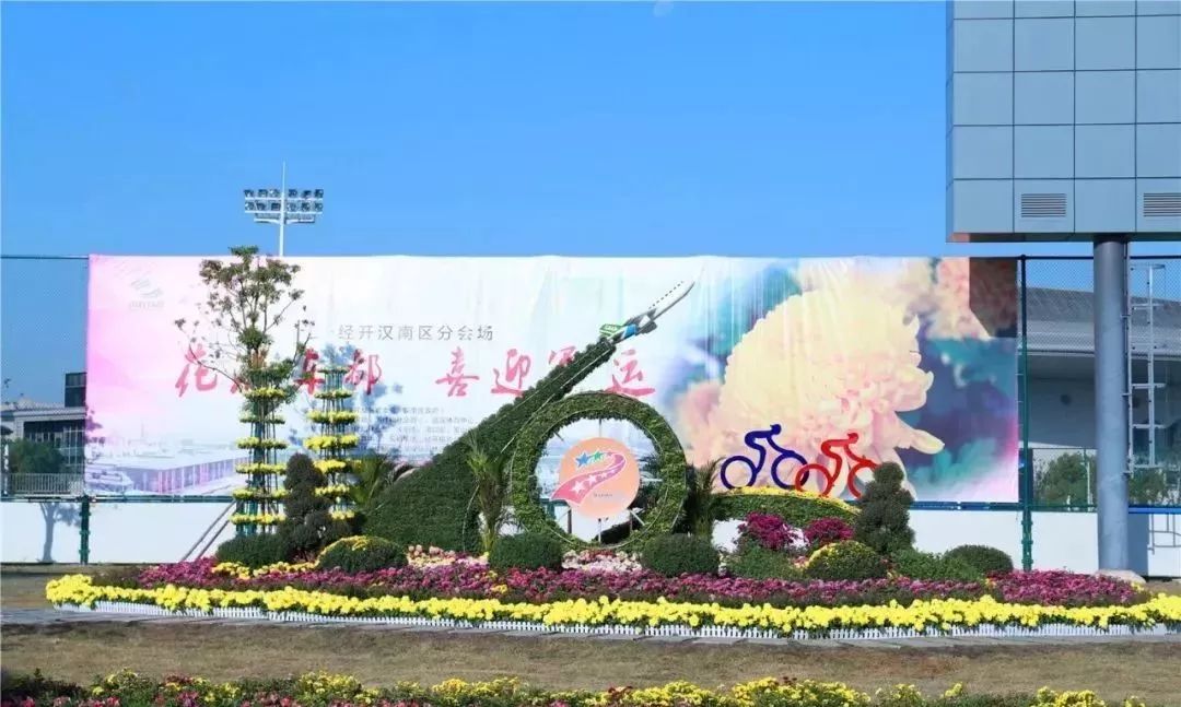 体育中心看展菊,运动公园菊展