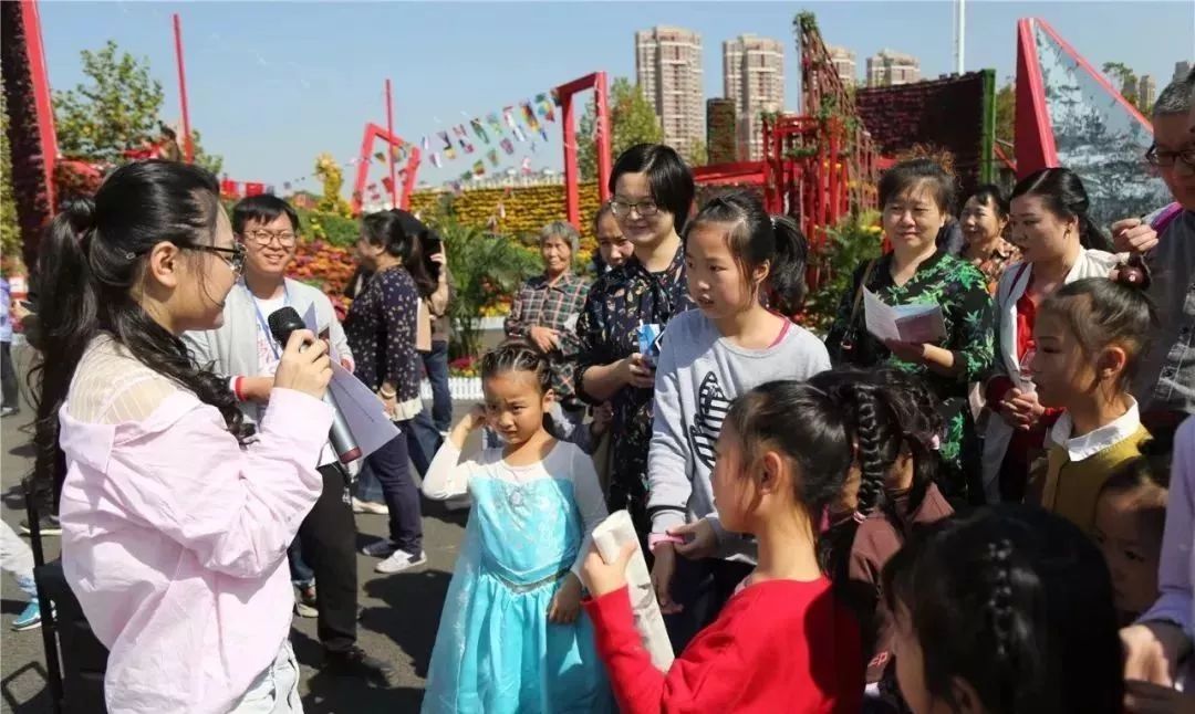 体育中心看展菊,在体育中心玩乐的一天