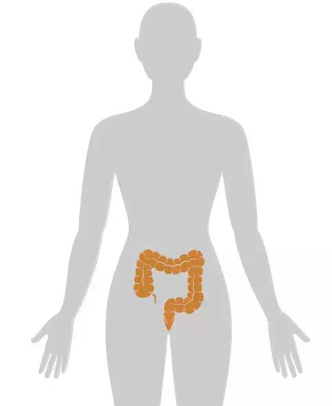 18张癌症人体地图，揭秘致癌真相！