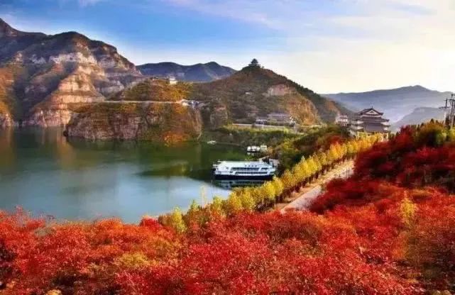 河南秋天红叶最美的地方有哪些,河南秋天最美红叶景区