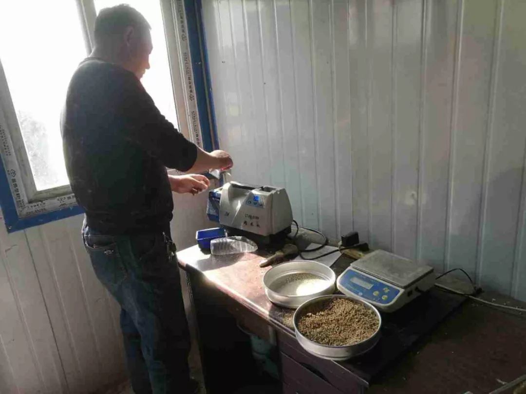 媒体见证执行第13期丨辽阳县法院:制订详细方案保证300亩水稻顺利执行