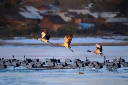 云南昭通市十大强镇排名,全国百强电商县