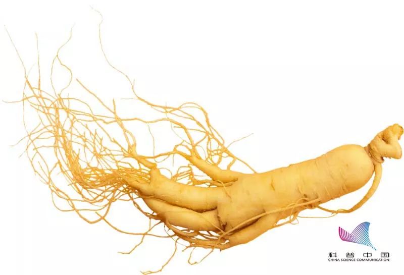 抗癌食物是真的还是假的,抗癌食物是真的么