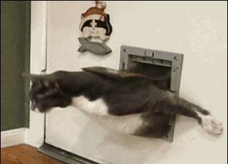 为什么键盘上的字母顺序不是abcd,键盘上的字母是按什么规律排列的