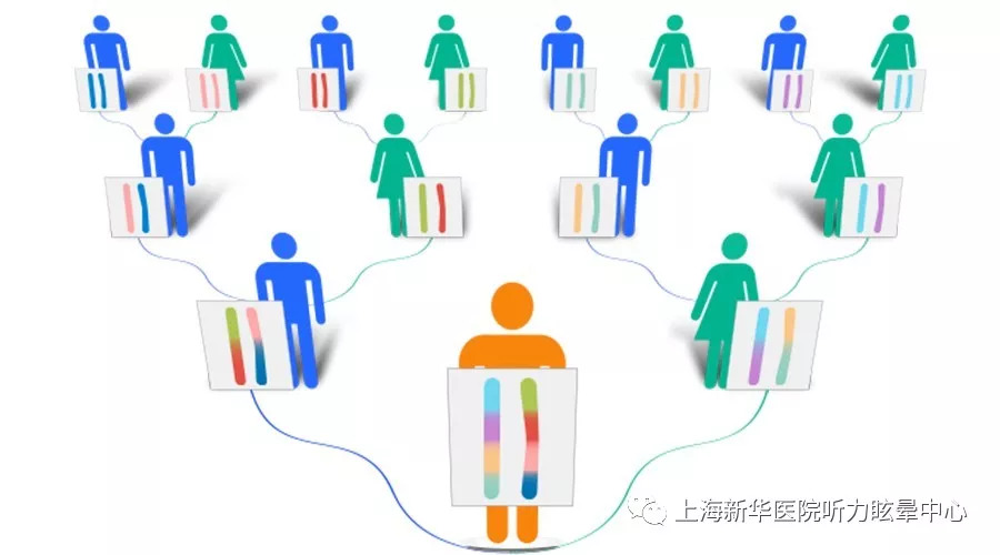 遗传性耳聋怎样可以不遗传下一代,遗传性的耳聋是怎么引起的