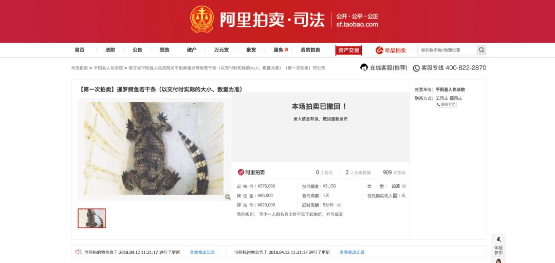 柴犬登登的现状,柴犬登登拍卖最后的钱去哪里了