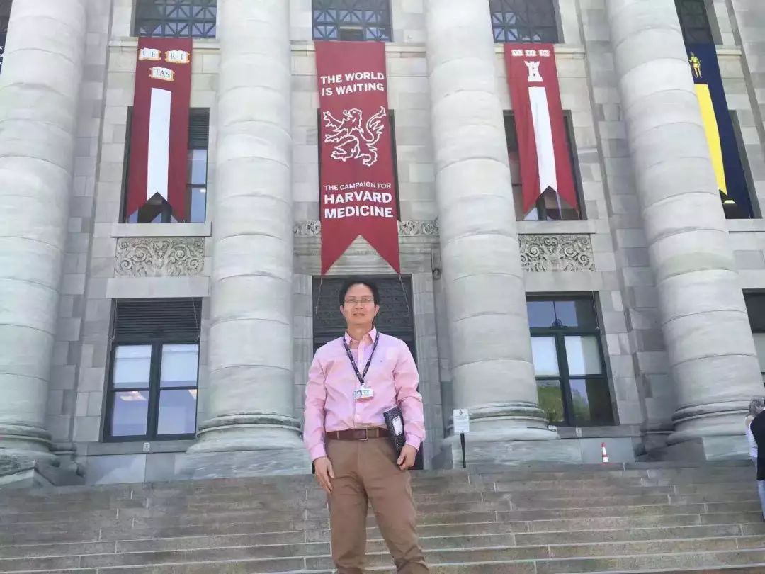 pubmed文献可视化分析,pubmed文献内容介绍