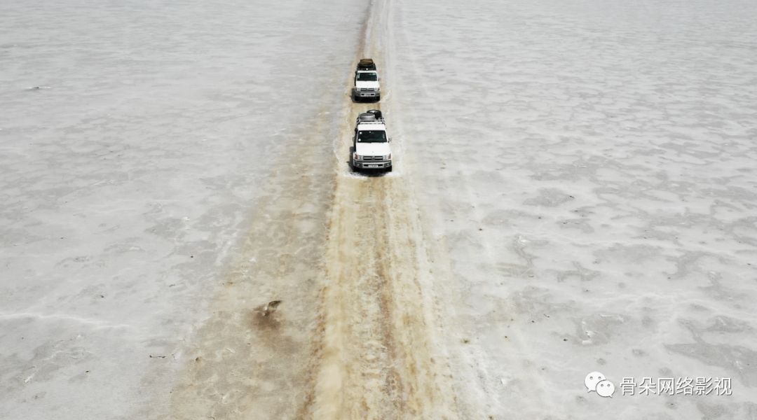 十年《侣行》，没有脚本丨专访张昕宇、梁红