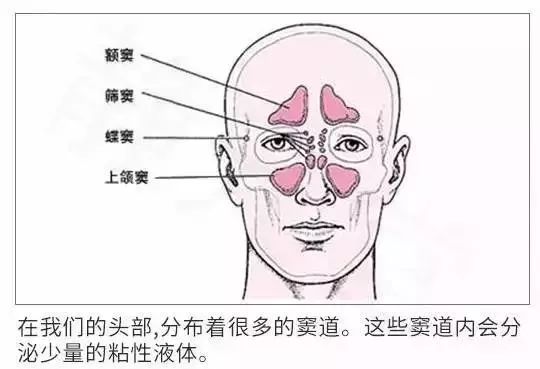 根治鼻炎只需一招,治鼻炎不复发