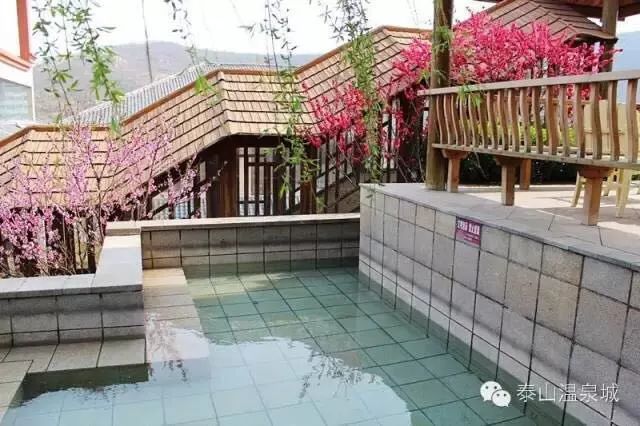 泰山温泉门票多少钱,泰山森林温泉门票