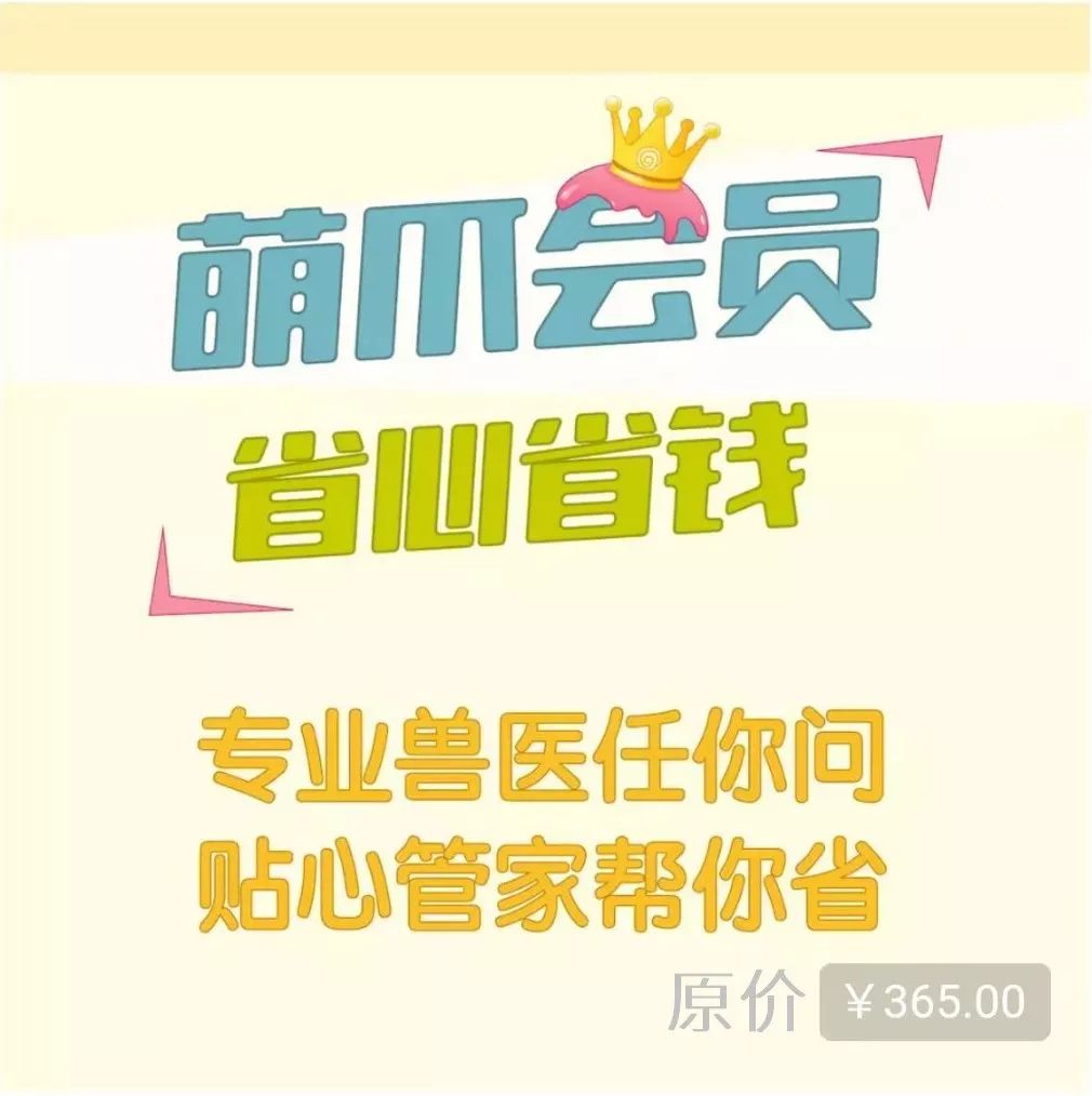 双十一的猫粮是正品吗,双十一的猫粮为什么便宜