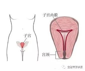 以前胎停育过怀孕以后要保胎吗,一年前胎停育一年后又怀孕了