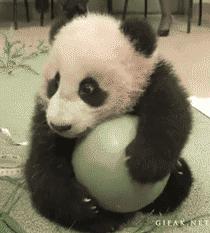 车险交强险三者险150万不计免赔险,交强险商业险车损险不计免赔