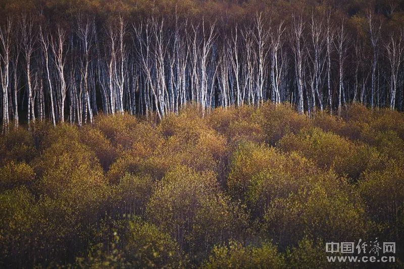 能用钱解决的事情尽量不用人情,能用钱解决的事就不用人情去解决